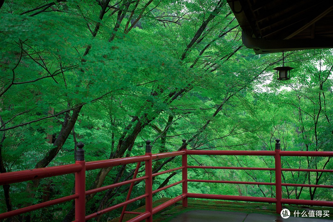 京都踏山访寺之旅