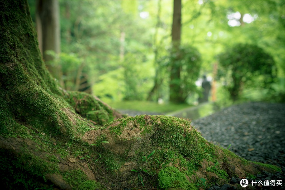 京都踏山访寺之旅