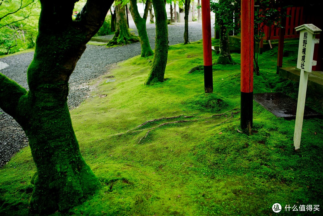 京都踏山访寺之旅