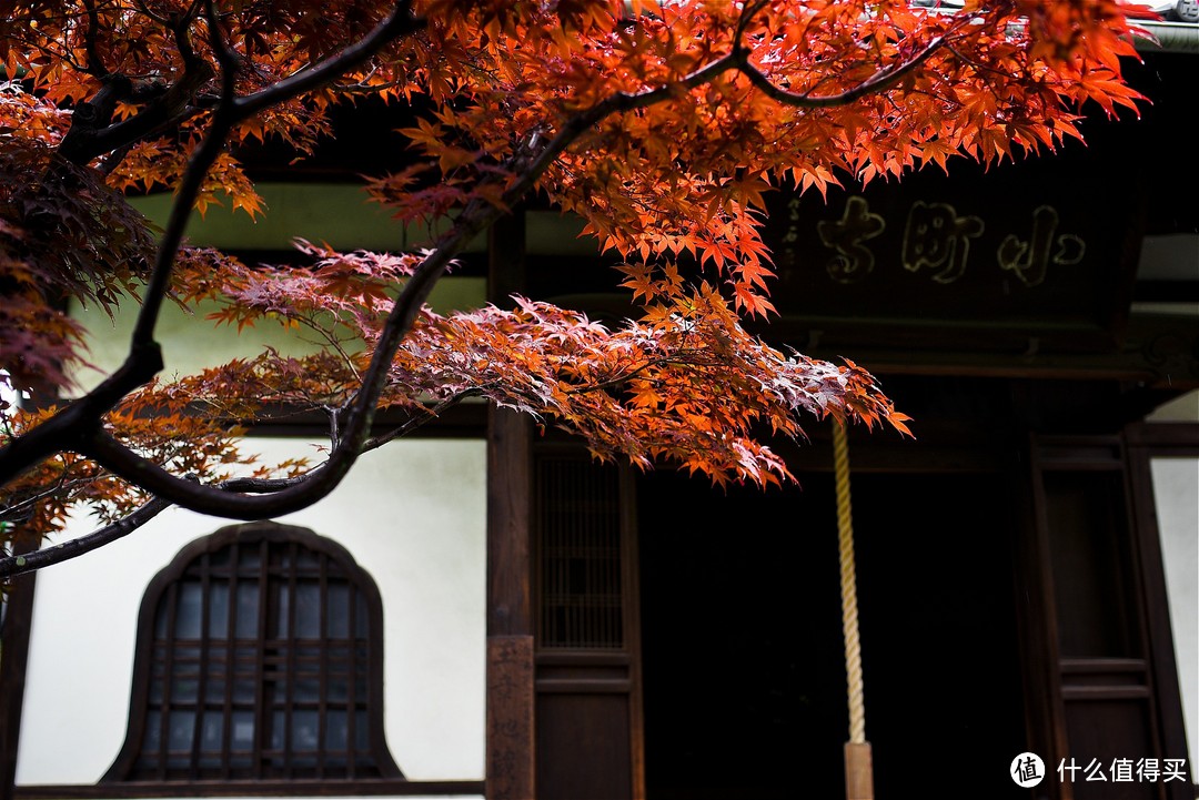 京都踏山访寺之旅