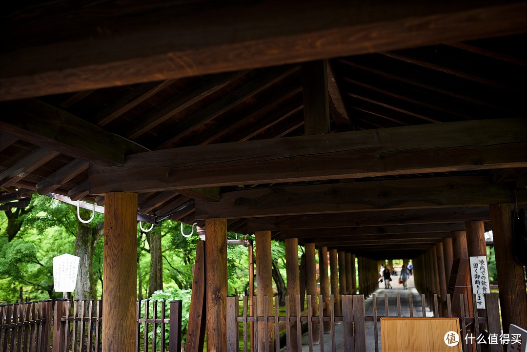 京都踏山访寺之旅