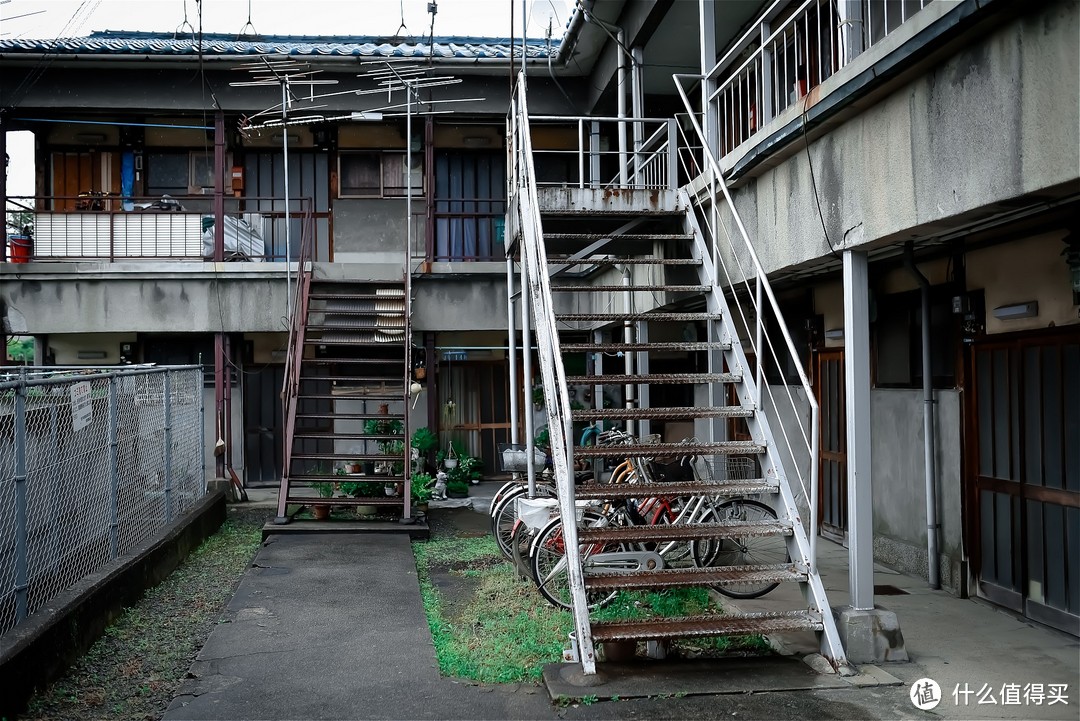 京都踏山访寺之旅