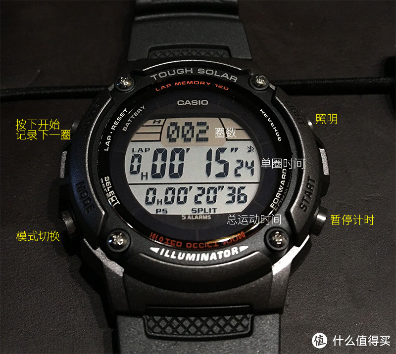 物美价廉的游泳计圈表 CASIO 卡西欧 W-S200H