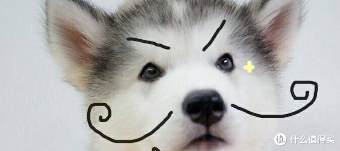 去黑头产品推荐 | 顽固黑头如何去除_什么值得