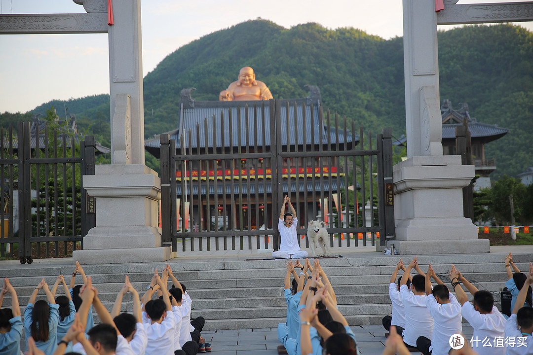 古寺巡礼，禅心问道，佛墨花艺，陶冶性情