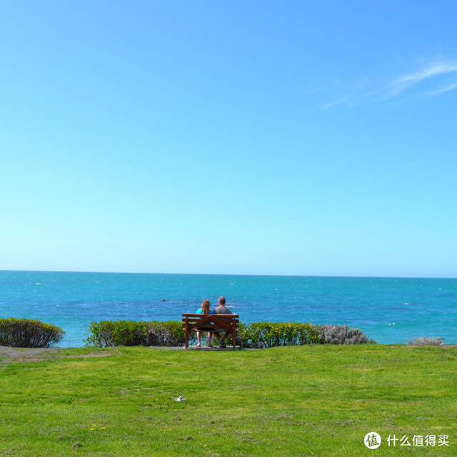#自驾享自由#“在世界尽头的半空和海洋,呕吐”——新西兰南岛 开往春天深处的自驾游