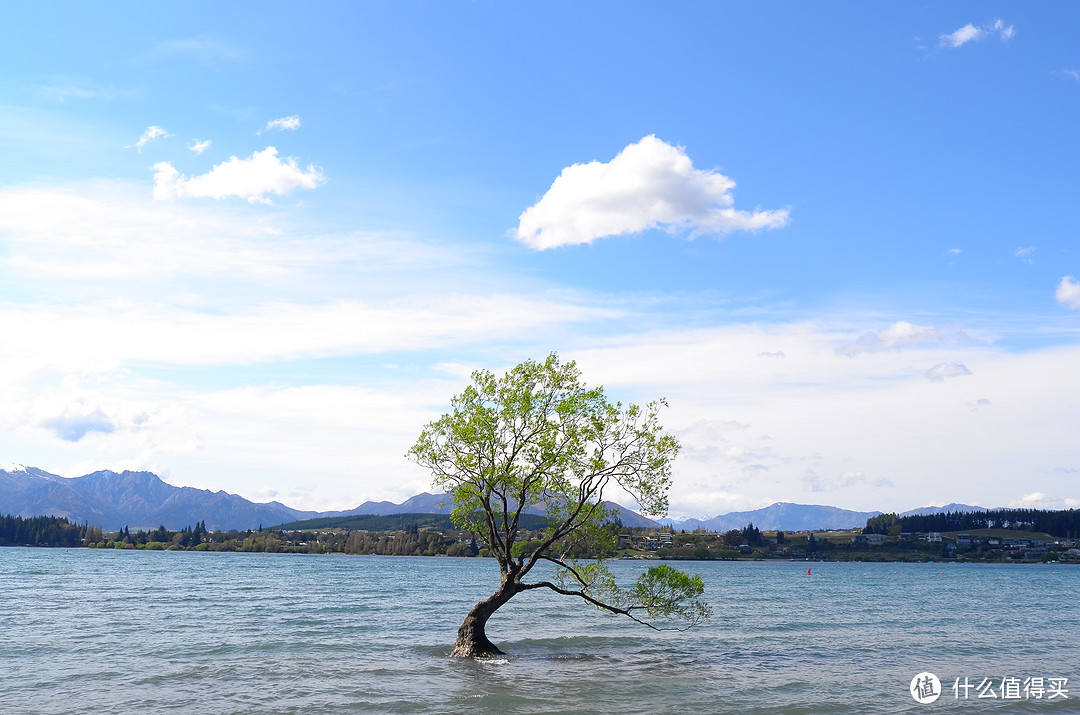 #自驾享自由#“在世界尽头的半空和海洋，呕吐”——新西兰南岛 开往春天深处的自驾游