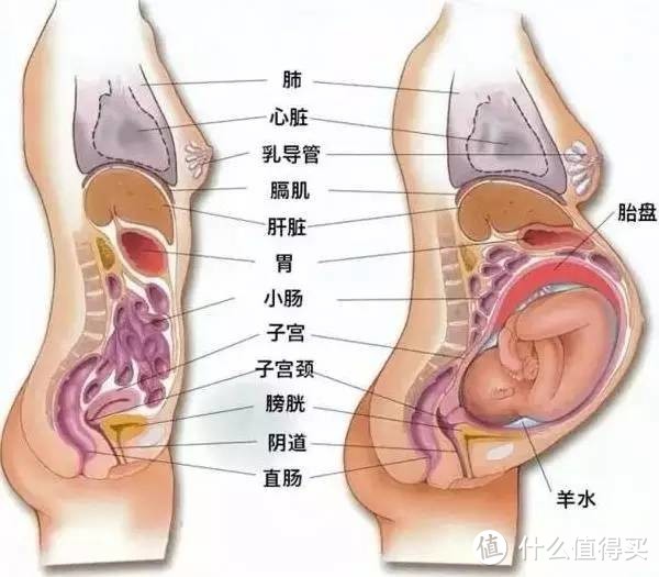 家有三宝：仨娃妈妈聊一聊生产喂养的那些事儿