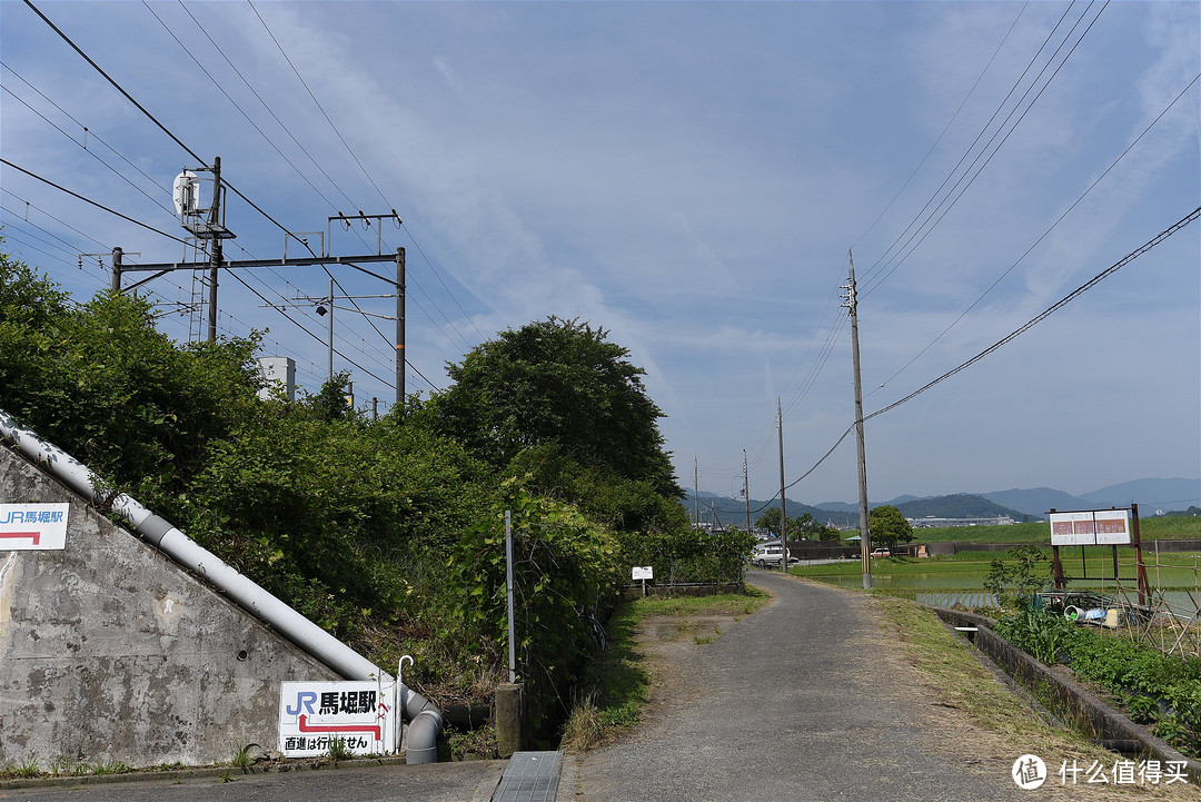 京都踏山访寺之旅