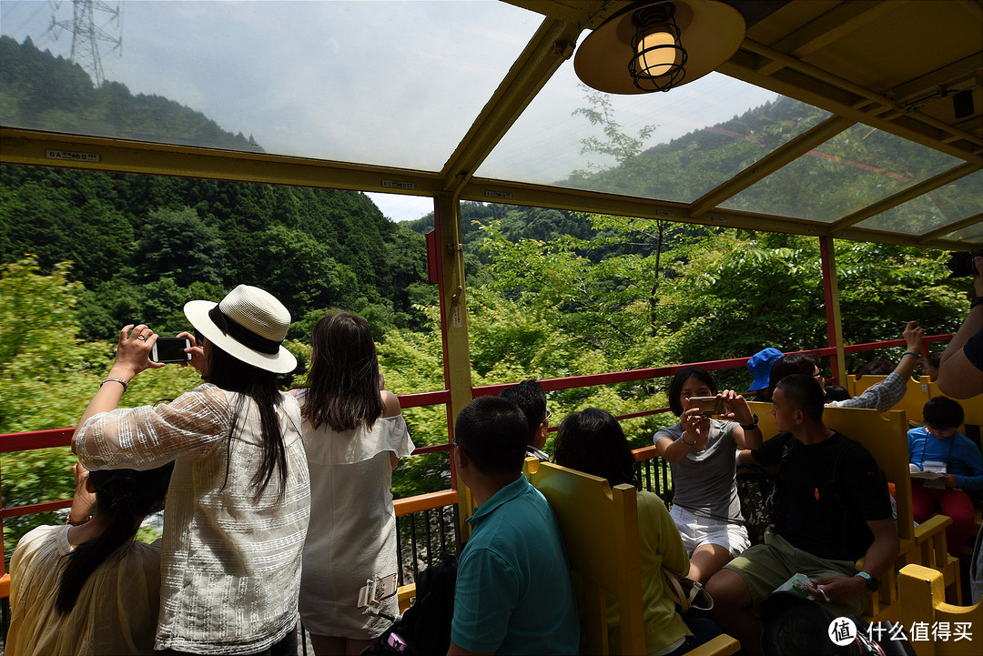 京都踏山访寺之旅