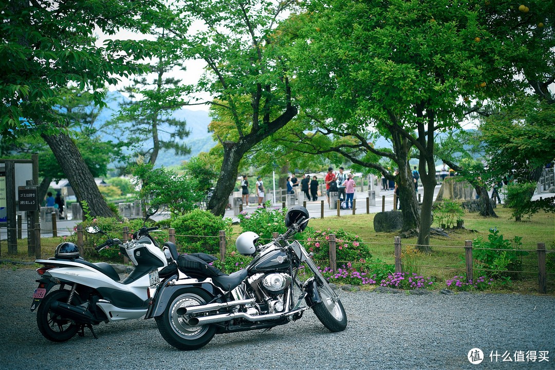 京都踏山访寺之旅