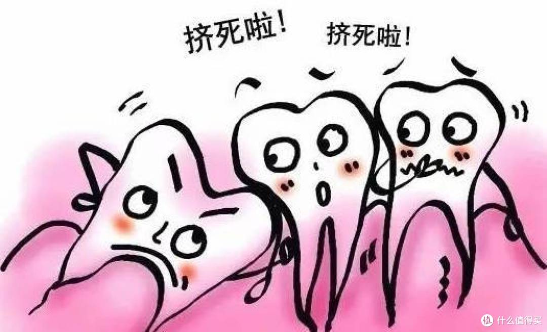 我与磨牙作斗争的故事