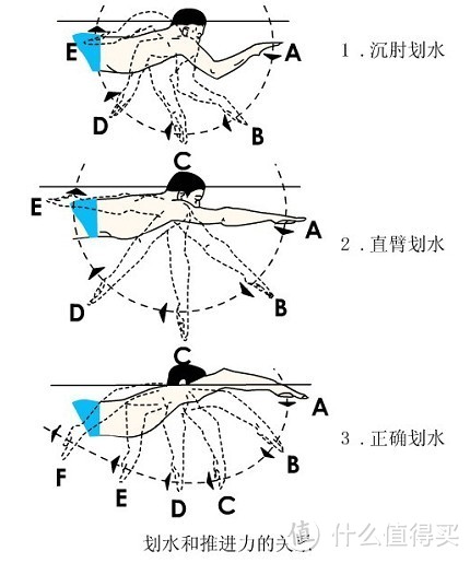 如何游出洪荒之力 — 游泳力学与相应动作技巧干货攻略