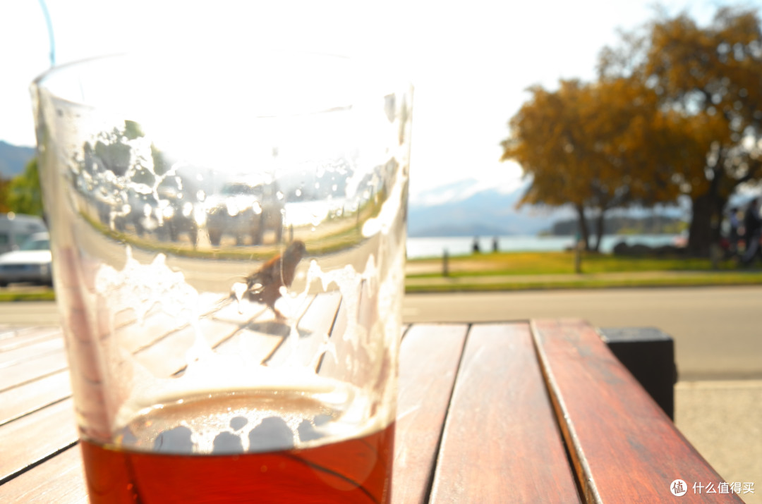 #自驾享自由#“在世界尽头的半空和海洋,呕吐”——新西兰南岛 开往春天深处的自驾游