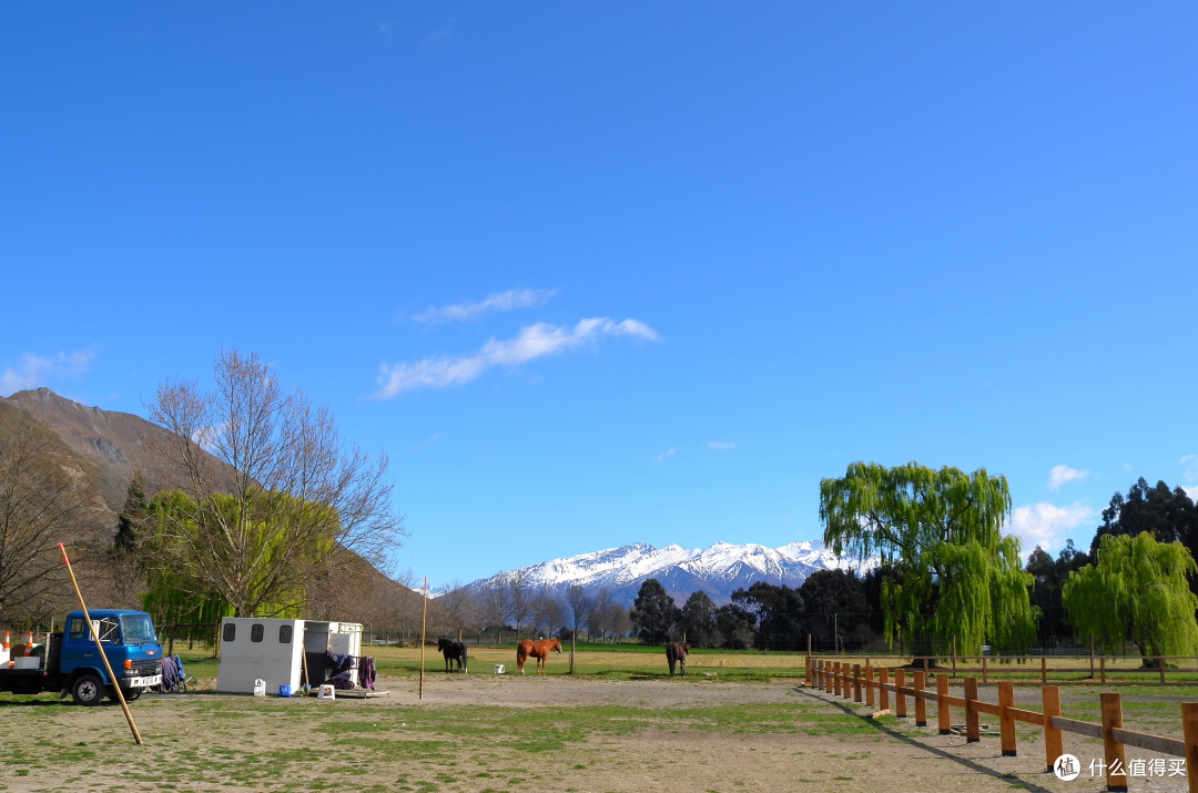 #自驾享自由#“在世界尽头的半空和海洋,呕吐”——新西兰南岛 开往春天深处的自驾游