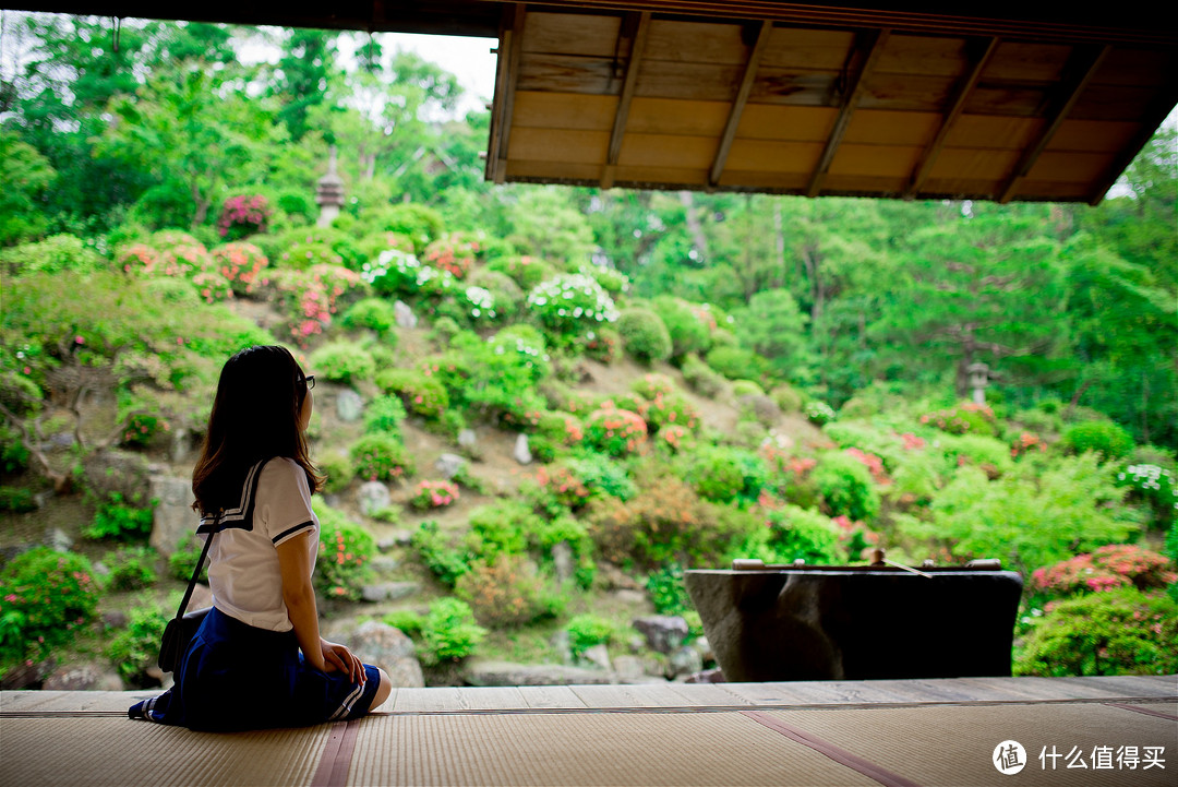 京都踏山访寺之旅