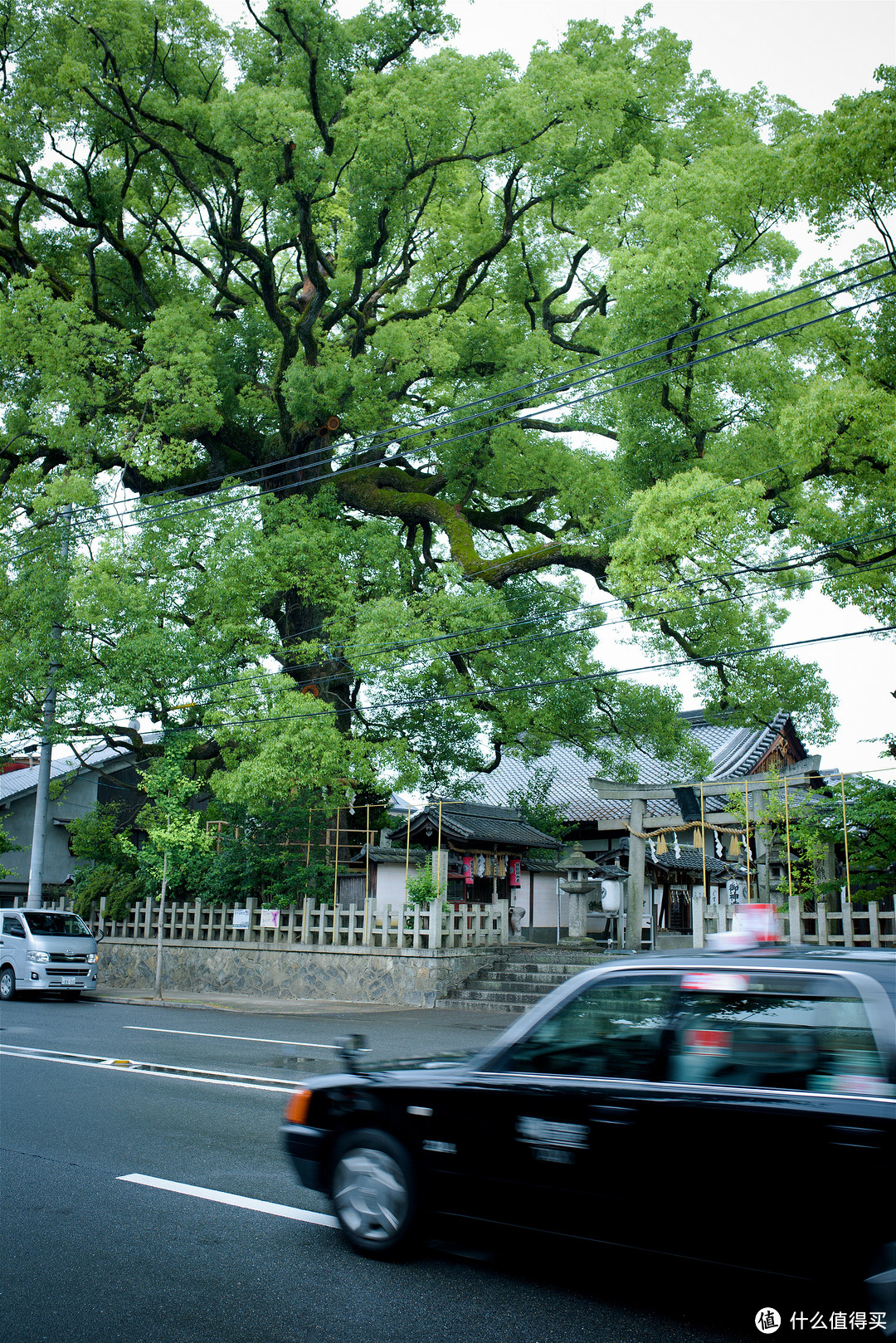 京都踏山访寺之旅