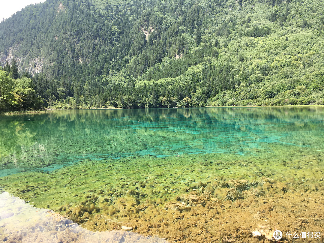 压轴戏 九寨沟+尾声 昭化古城