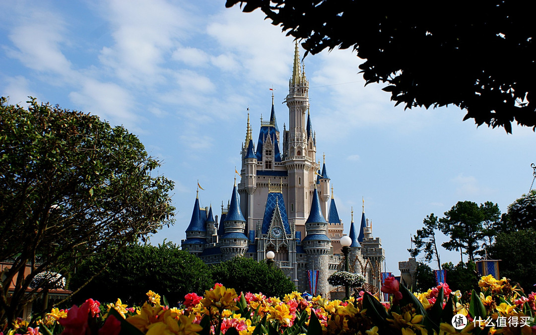 #本站首晒#Lego 乐高  71040 Disney Castle 迪士尼城堡