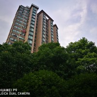 华为 P9使用感受(拍照|指纹|优点|缺点)