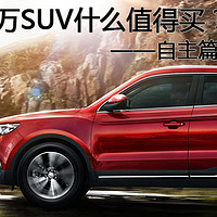 15万元SUV，什么值得买？——本土品牌篇