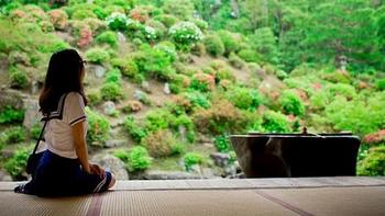 不赏樱，不追枫，我的日本关西9日自由行 篇三：京都踏山访寺之旅 