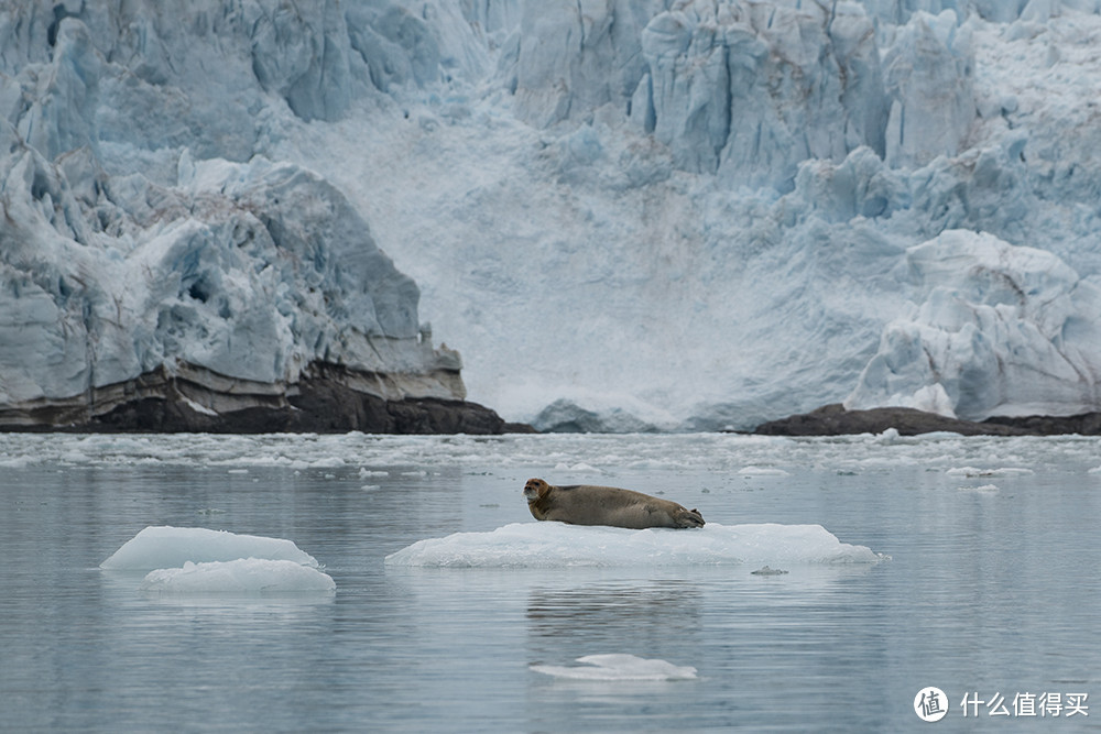 北极日记——从朗伊尔出发，看世界尽头的冰寂