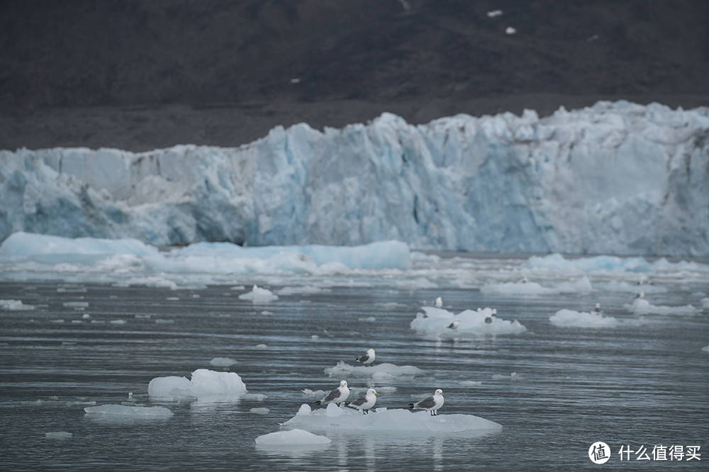 北极日记——从朗伊尔出发，看世界尽头的冰寂