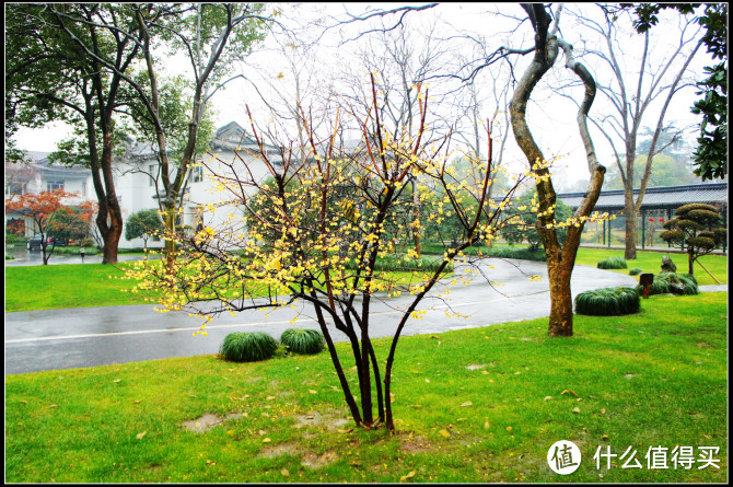 闹中取静的好去处，不花钱就可以私享的西湖胜景：杭州西湖国宾馆