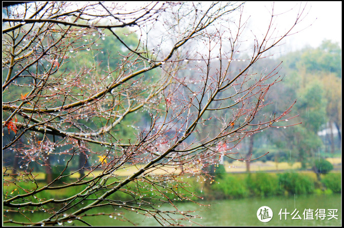 闹中取静的好去处，不花钱就可以私享的西湖胜景：杭州西湖国宾馆