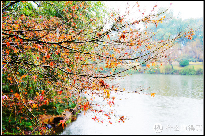 闹中取静的好去处，不花钱就可以私享的西湖胜景：杭州西湖国宾馆