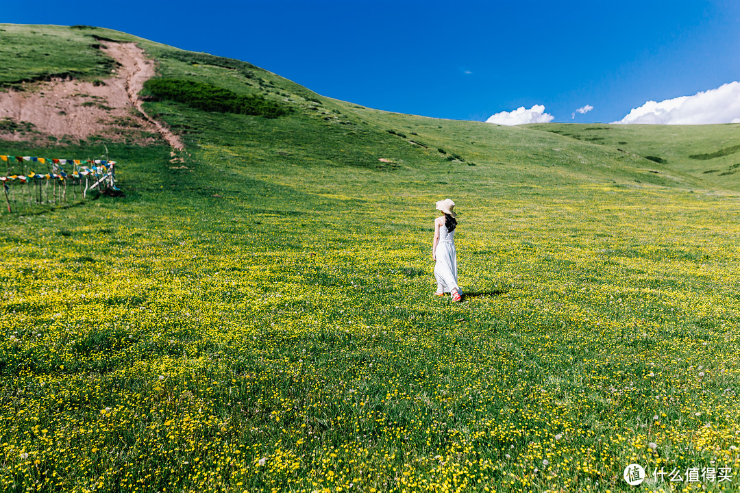 “黑科技”之适马35mm 1.4 定焦镜头 使用感受（内容较长、多图有妹纸）