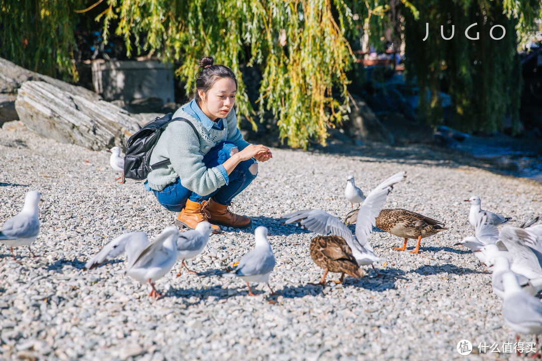 #自驾享自由#愿南半球的风为你停留：新西兰自驾之旅