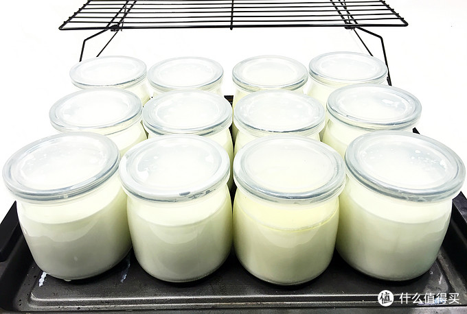 养出一碗好酸奶 — 12款市面主流品牌酸奶菌种 对比测评