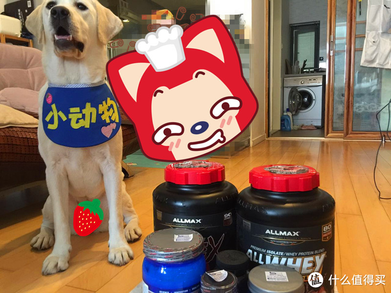 像奶昔一样好喝——ALLMAX ISOFLEX分离乳清蛋白粉&小体会