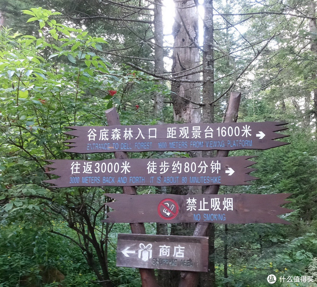 游玩长白山北景区