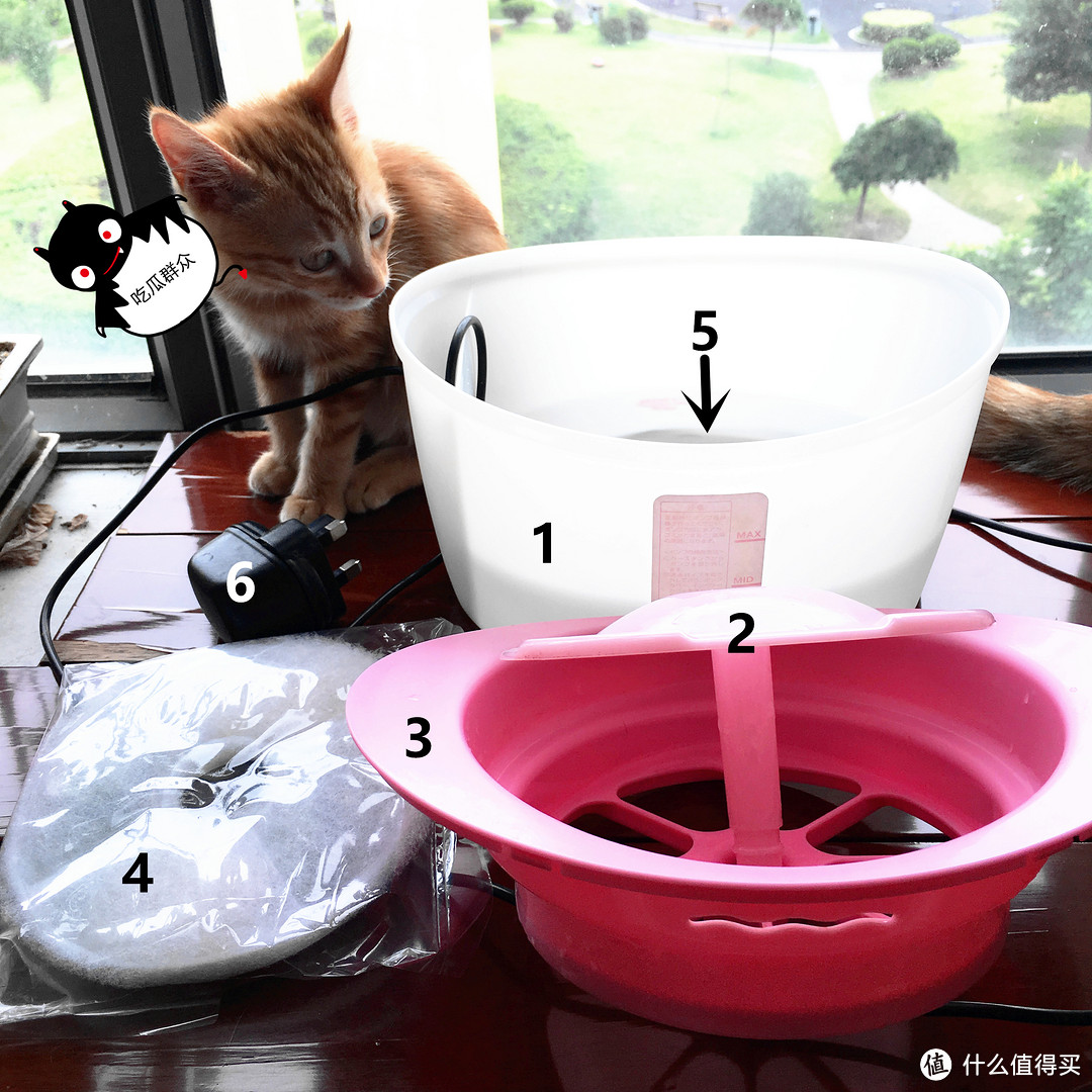 4台半猫用饮水机测评