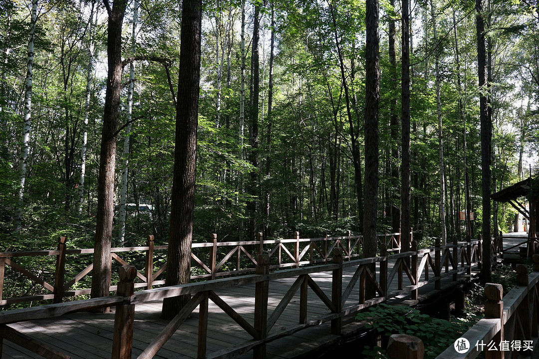 游玩长白山西景区天池 & 万达国际度假村