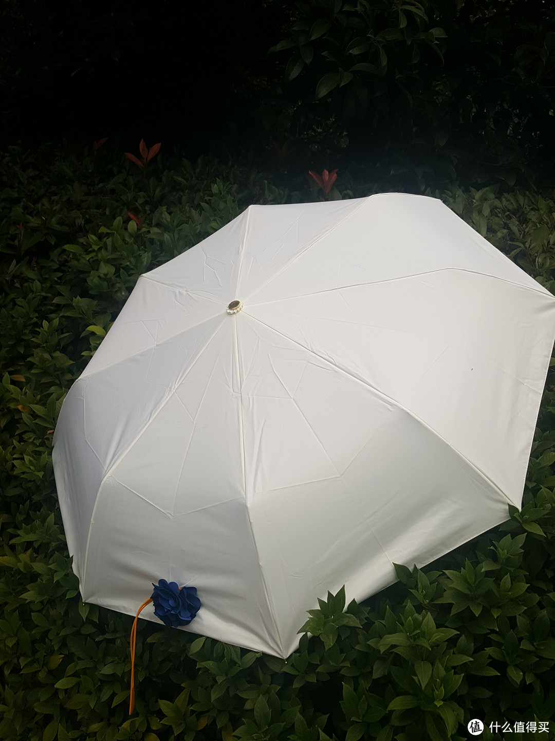 #一周热征#旅行必备#Soges Umbrella 蓝花玫瑰金经典折叠伞 开箱 附晴雨伞知识小科普