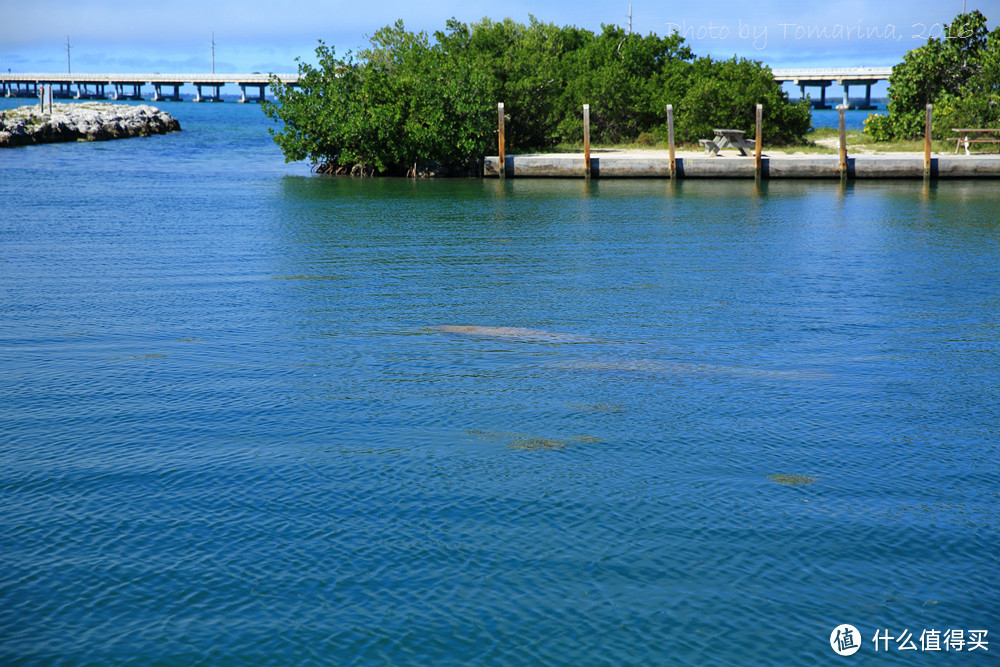 #自驾享自由#新年之旅Key West：美国大陆最南端