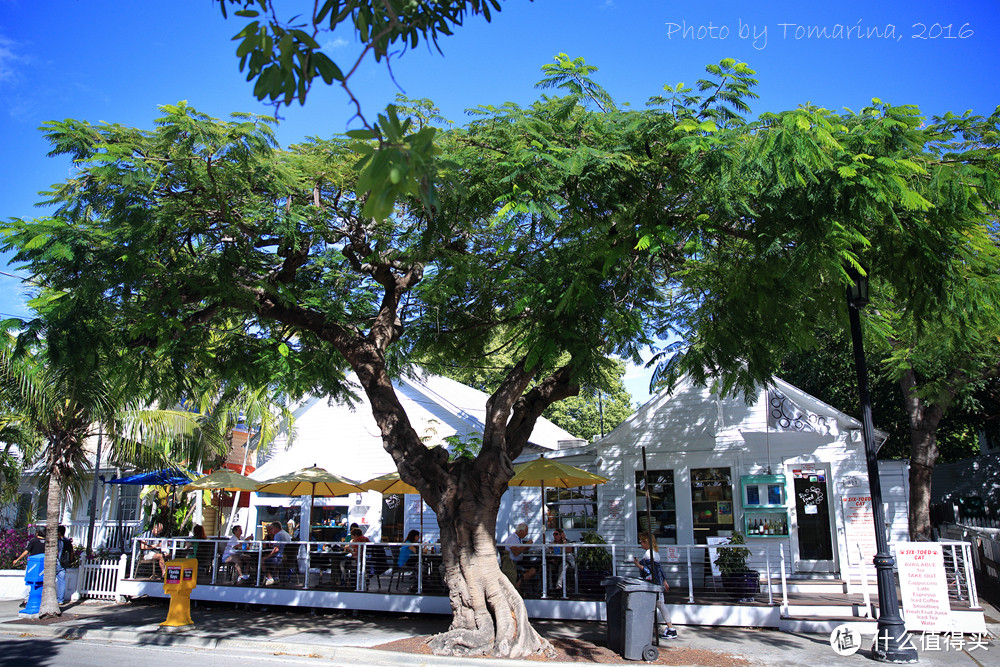 #自驾享自由#新年之旅Key West：美国大陆最南端