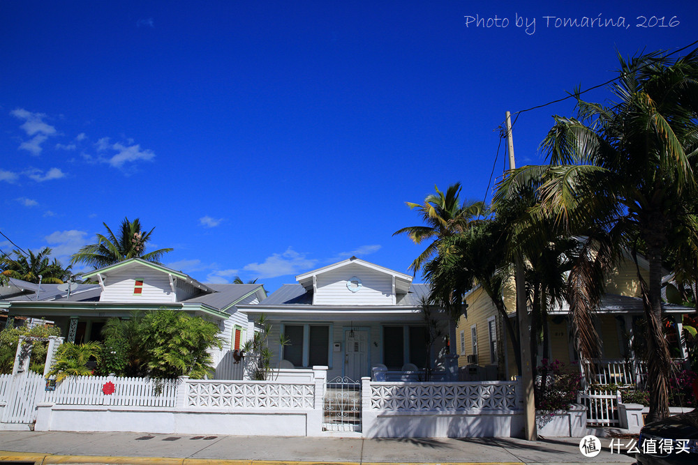 #自驾享自由#新年之旅Key West：美国大陆最南端