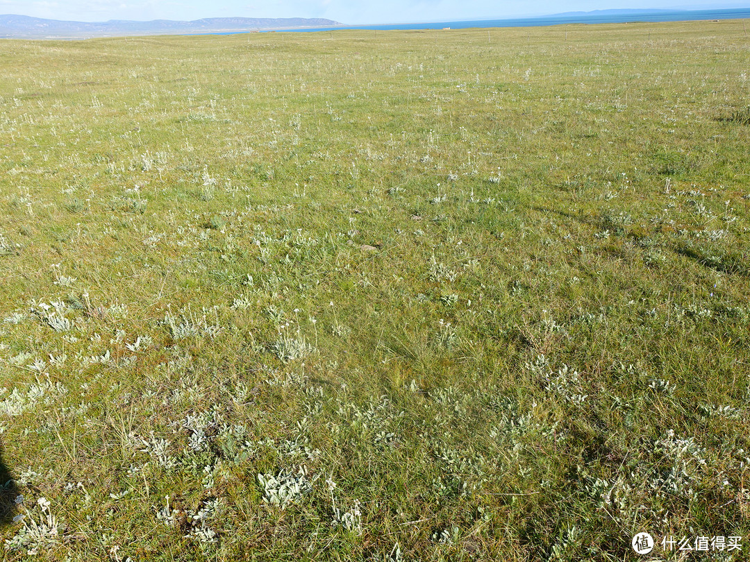 随心随走随停——青海湖日出，草原徒步，二郎剑、日月山周边