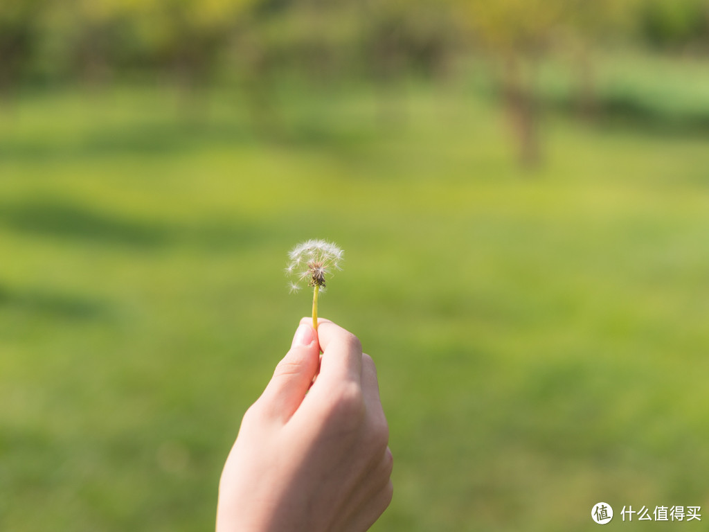 M4/3阵营中的大光圈镜头——SIGMA 适马 30mm F1.4 镜头