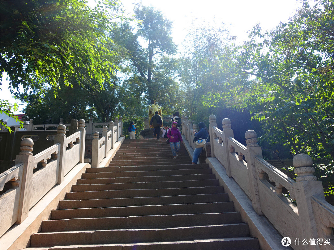 收心不易——莫家街，塔尔寺，西宁机场……