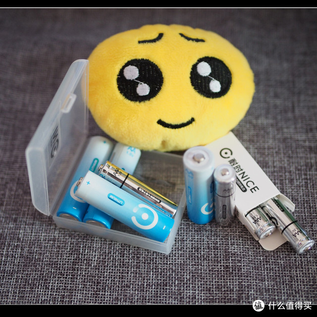 耐时锂铁电池 测评