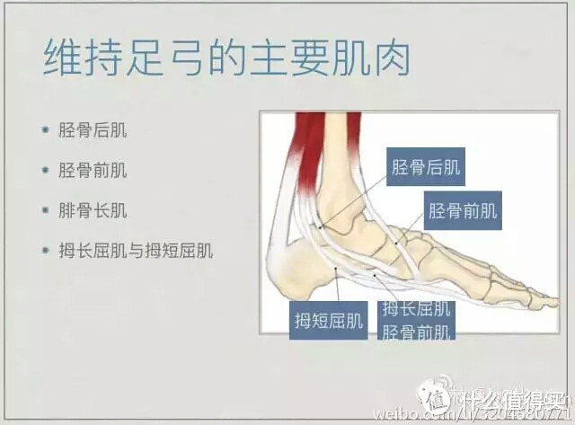 德国物理治疗师教你，如何矫正扁平足！