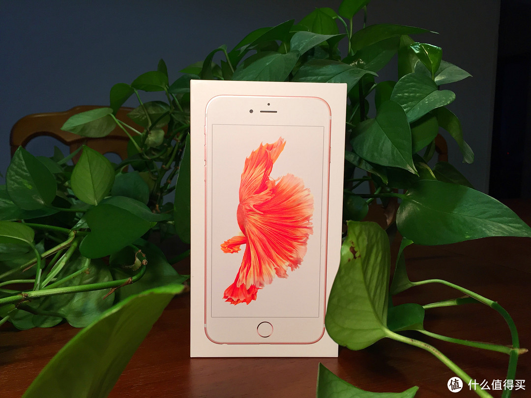 最后抄底开箱：Apple 苹果 iPhone 6s plus 粉色（贴rock膜）