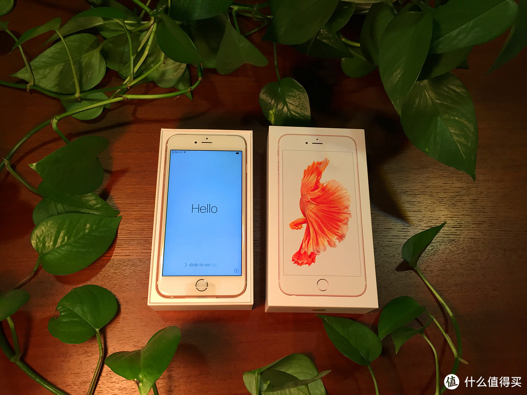 最后抄底开箱：Apple 苹果 iPhone 6s plus 粉色（贴rock膜）