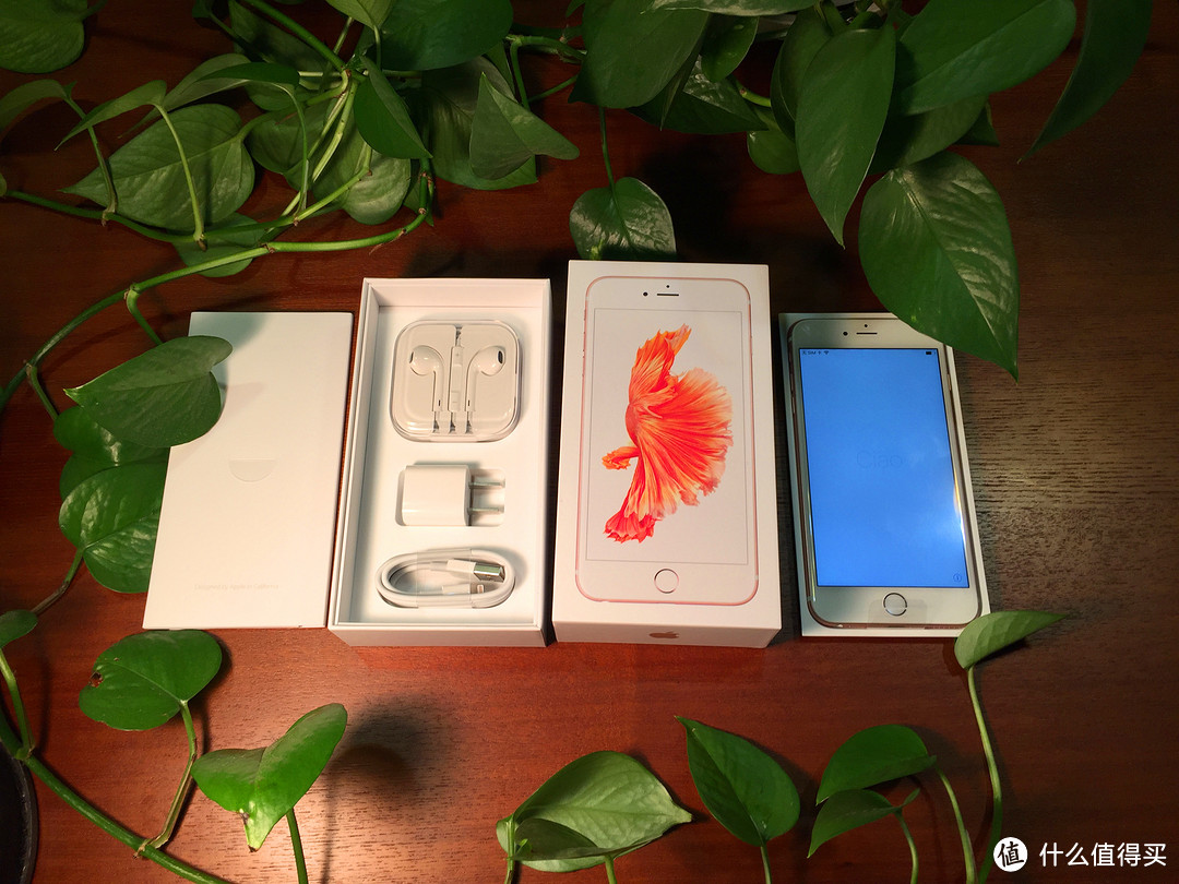 最后抄底开箱：Apple 苹果 iPhone 6s plus 粉色（贴rock膜）